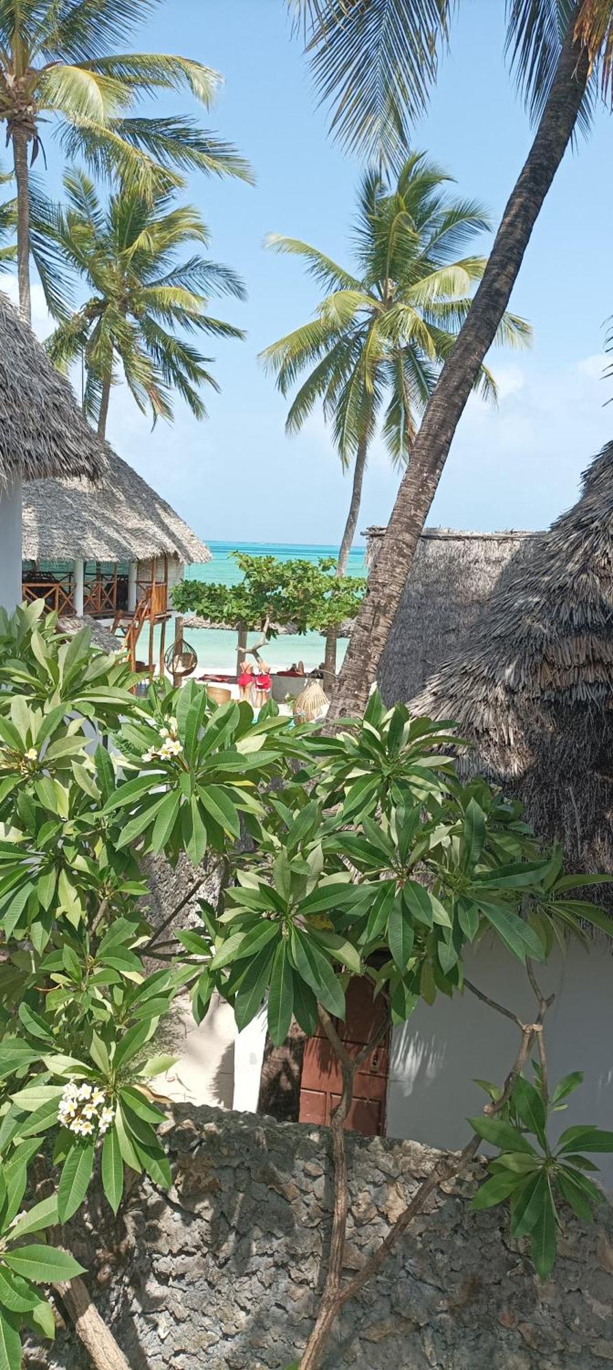 Amka House Villa Jambiani  Exterior photo