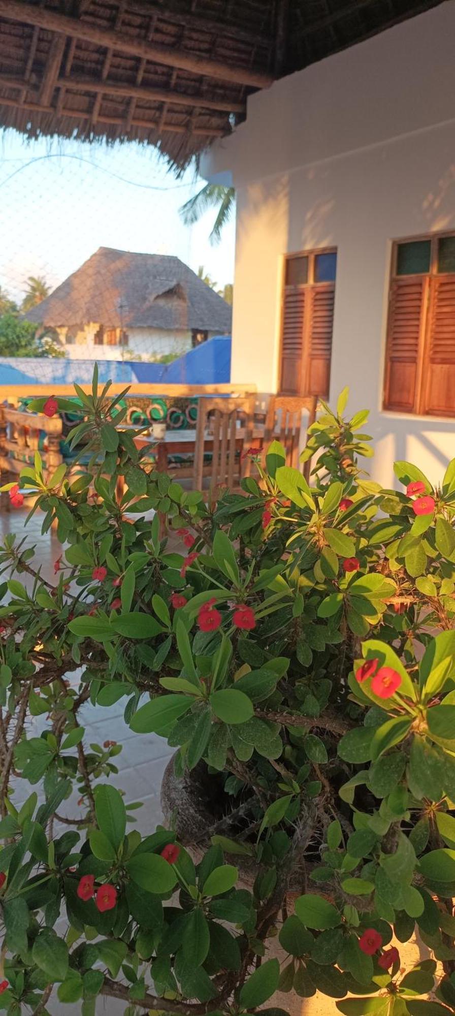 Amka House Villa Jambiani  Exterior photo